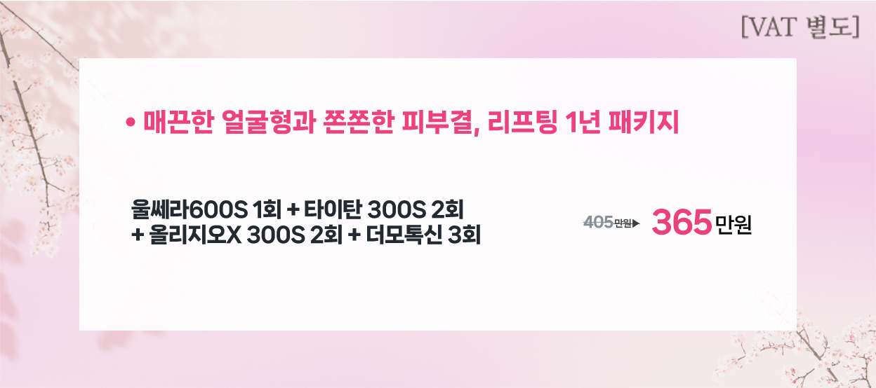 매끈한 얼굴형과 쫀쫀한 피부결, 리프팅 1년 패키지