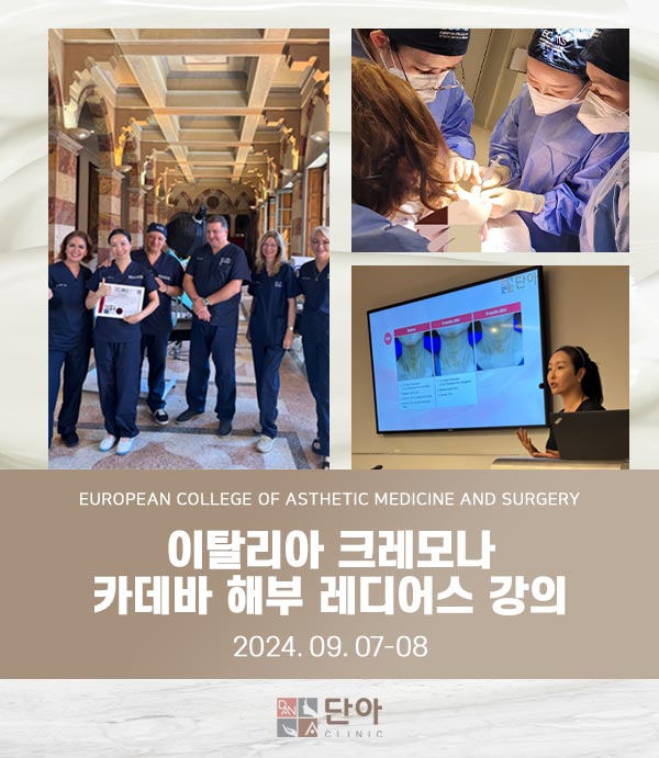 이탈리아 크레모나 카데바 해부 레디어스 강의